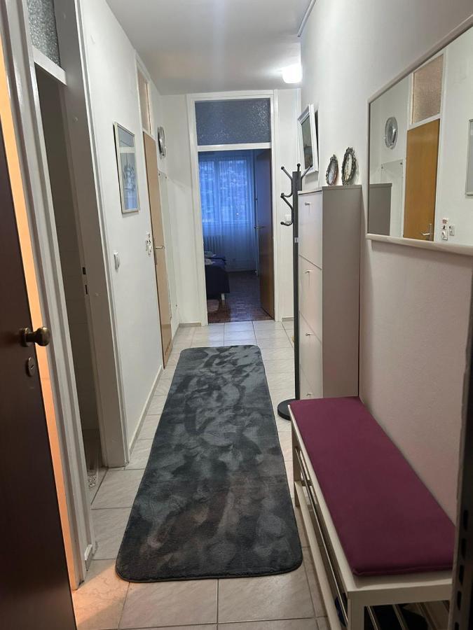 Iris * Sarajevo